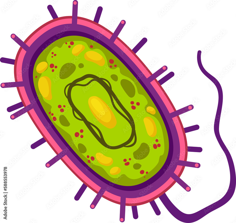 Ameba microorganism, Protozoa bacteria, protista Stock Illustration ...