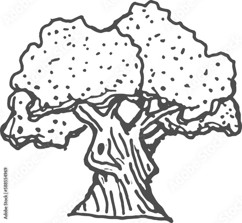 Baobab sketch icon, oak or acorn exotic tree