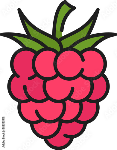 Fotografie Red raspberry organic bramble berry color icon