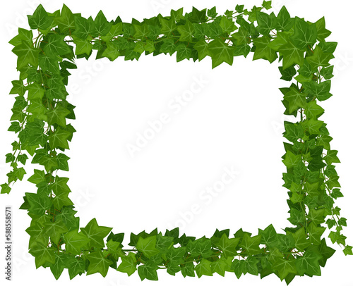 Ivy green leaves and jungle lianas square frame