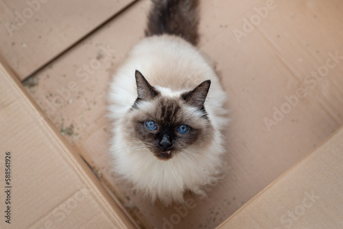 Don't mess with my catnip