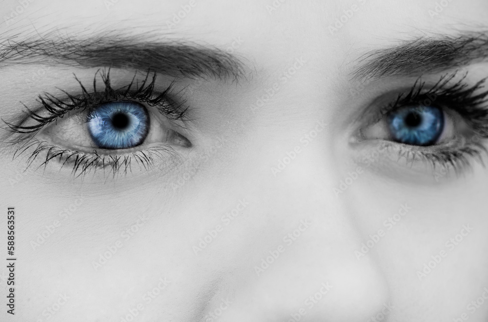 Obraz premium Blue eyes on grey face