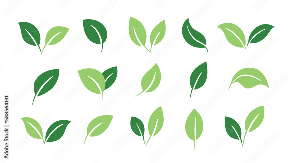 A set of leaves on a white background. Eco icons
