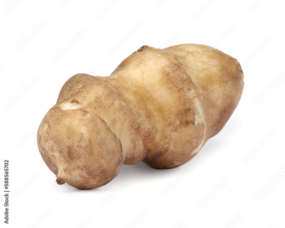 One raw Jerusalem artichoke isolated on white One raw Jerusalem artichoke isolated on white