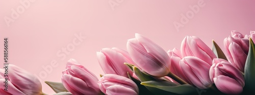 Mother s Day banner with pink tulips on a pink backdrop