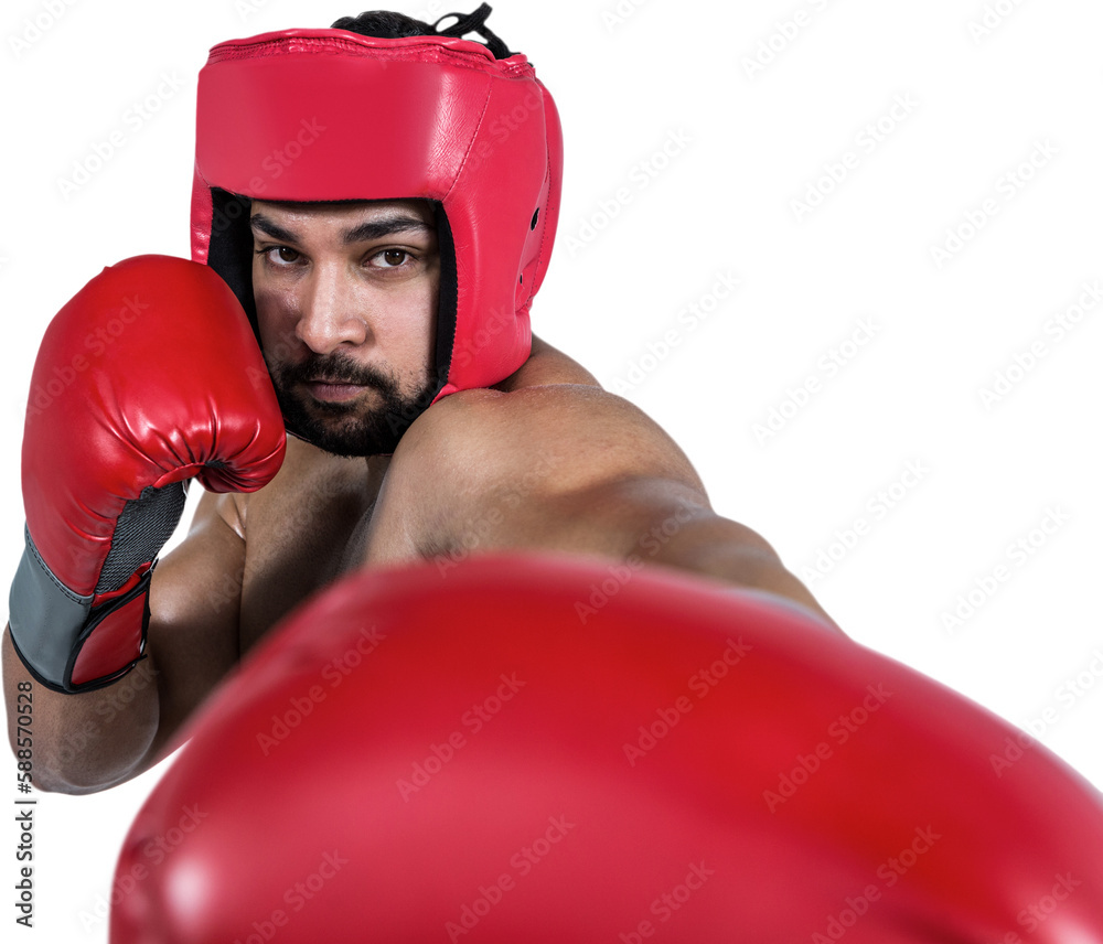 Fotografie Muscular man boxing in gloves