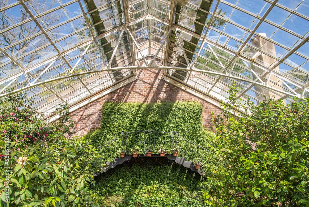 Fototapeta premium Plants inside if the greenhouse 