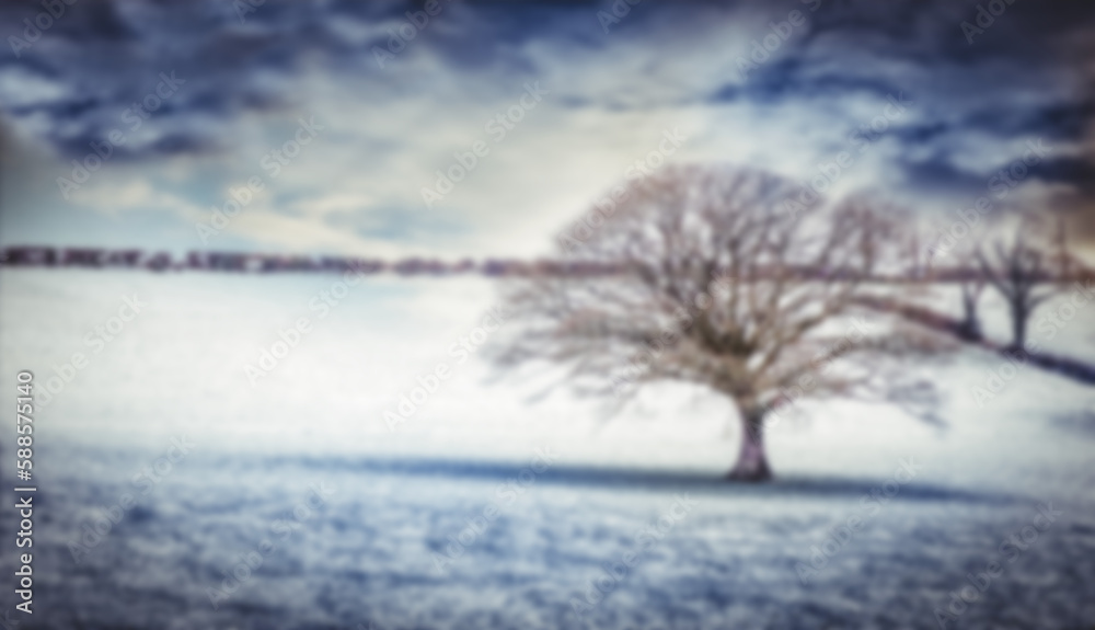 Obraz premium Bare tree on snow covered field 