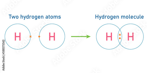 Covalent bond of the hydrogen molecule. Two hydrogen atoms and hydrogen molecule. Vector illustration isolated on white background.