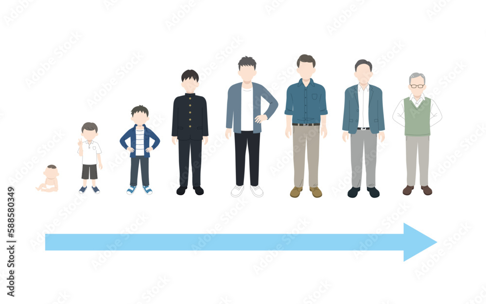 男性の年齢による変化 成長と老化 男性の年齢による変化 成長と老化