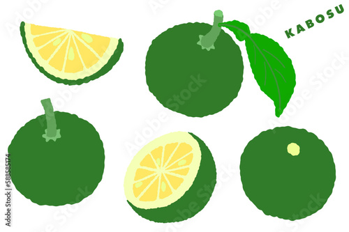 KABOSU　Citrus sphaerocarpa　illustration photo