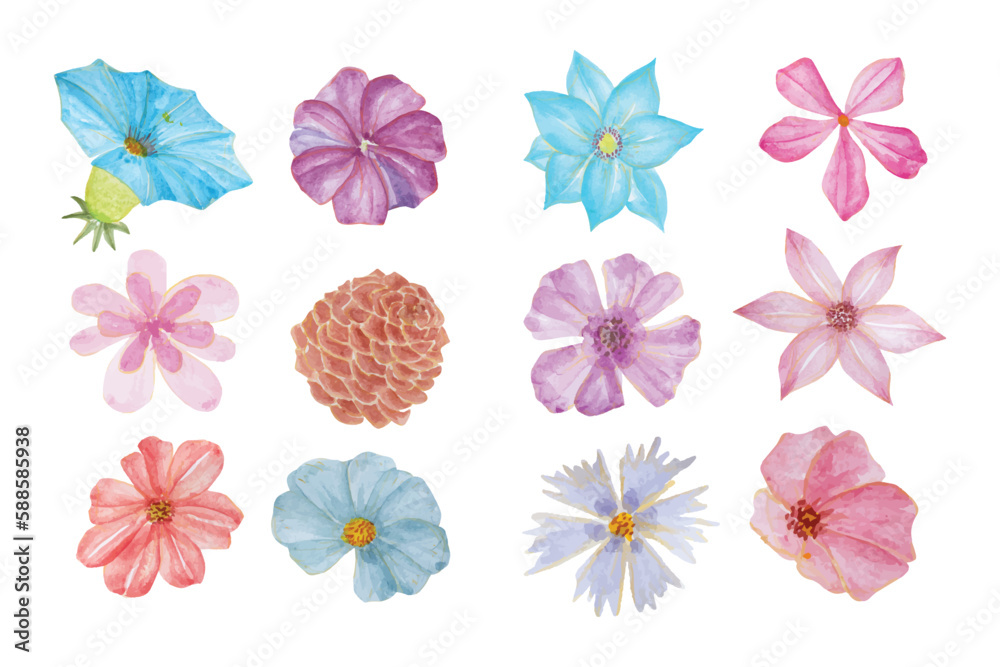 All kinds of flowers collection, hand drawn watercolor vector illustration for greeting card or invitation design