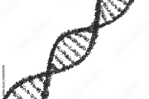 DNA  helix