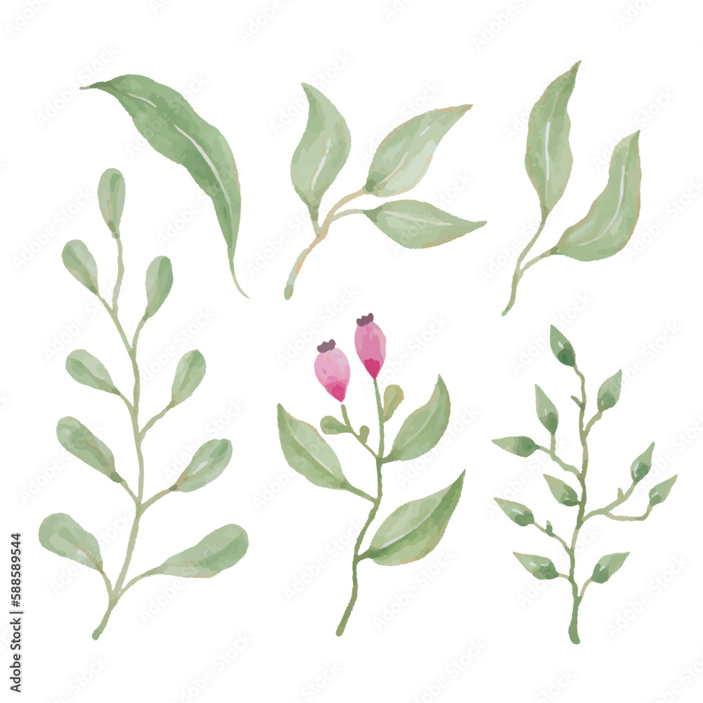 Plant leaves painted with watercolors, hand drawn watercolor vector illustration for greeting card or invitation design