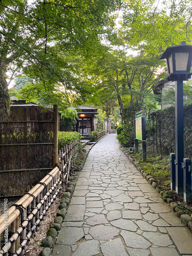 Stone Paved Pathway in Japan