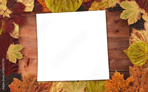 Directly above shot of blank page with autumn leaves