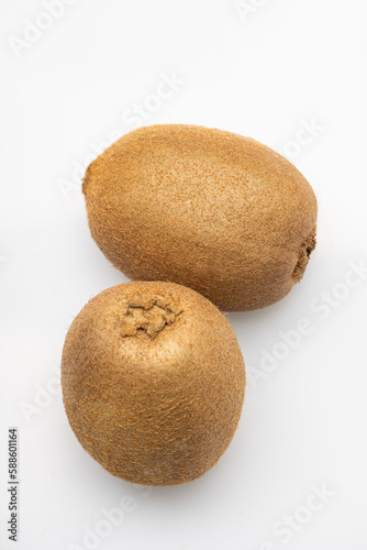 kiwi fruit