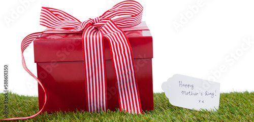 Red present with Happy mothers day tag
