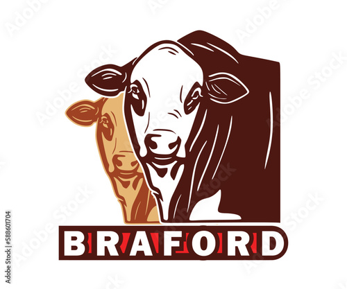 BRAFORD BIG BULL FACE LOGO, silhouette of cattle head vector illustrations photo