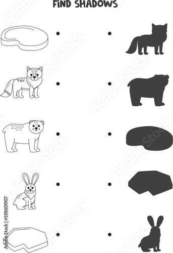 Find the correct shadows of black and white arctic animals. Logical puzzle for kids.
