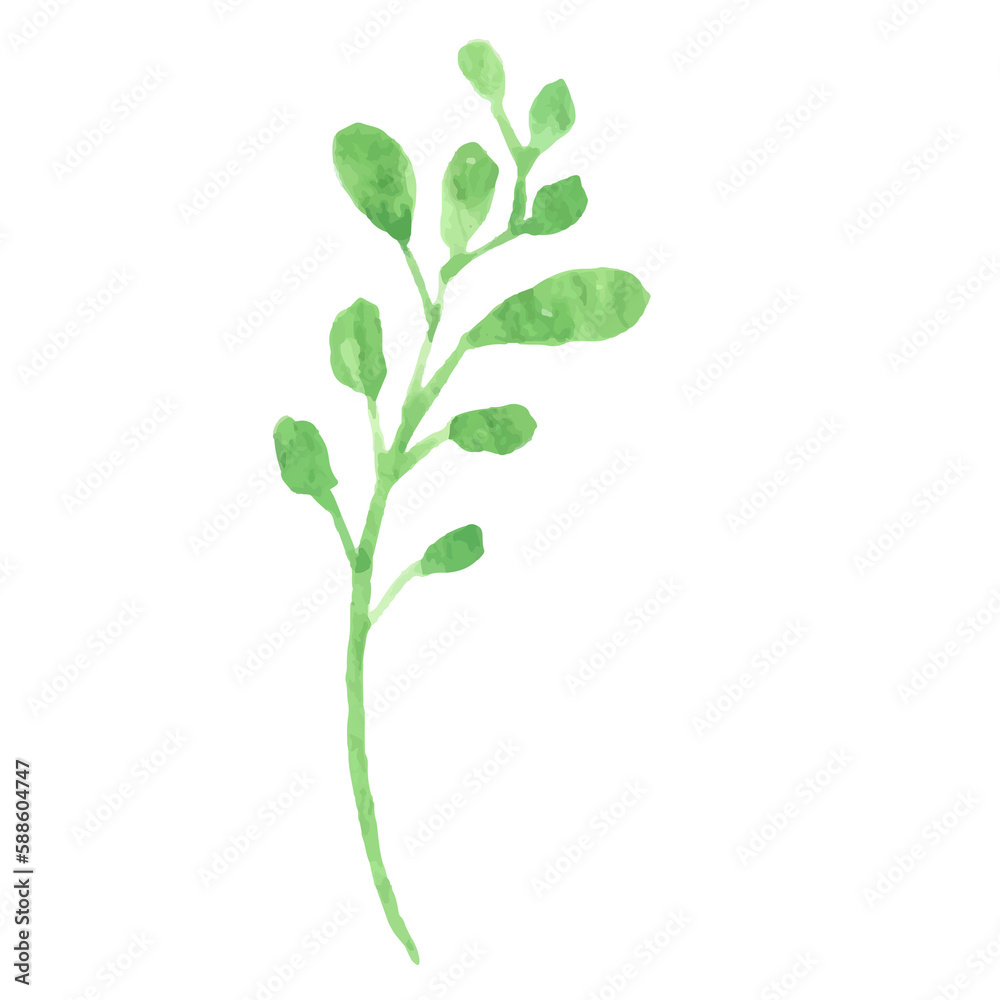 Naklejka premium Watercolor Leaf