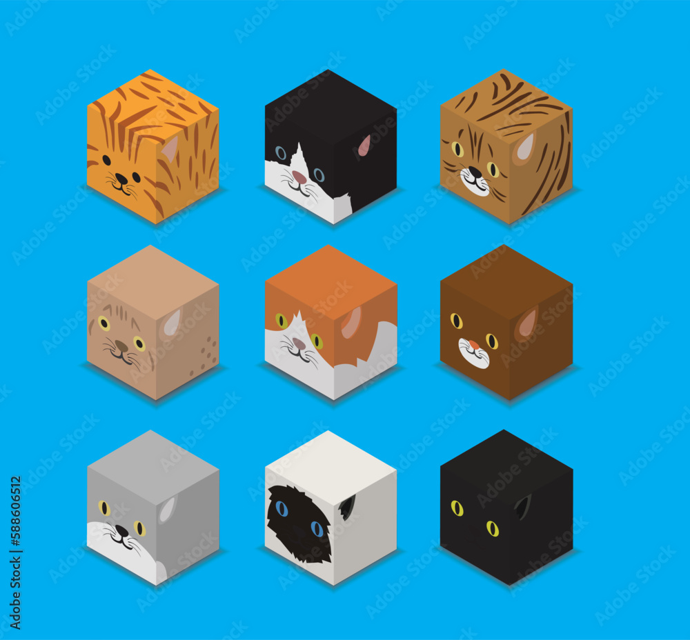 Dice Box 3D Character Pet Cats Animal Set Cartoon Vector