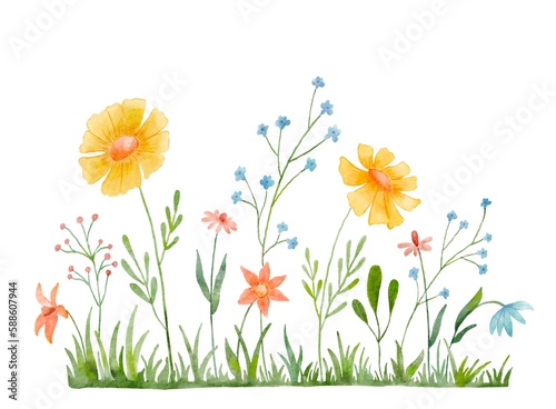 Fototapeta Naklejka Na Ścianę i Meble -  Watercolor wild herbs and flowers illustration. Hand painted meadow with grass and wildflowers isolated on white background