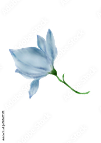 一輪の青い花