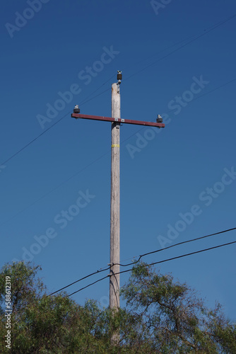 Simple rural electricity distribution pylon