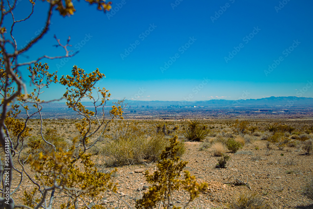 View of the Las Vegas Strip from the desert, looking east View of the Las Vegas Strip from the desert, looking east