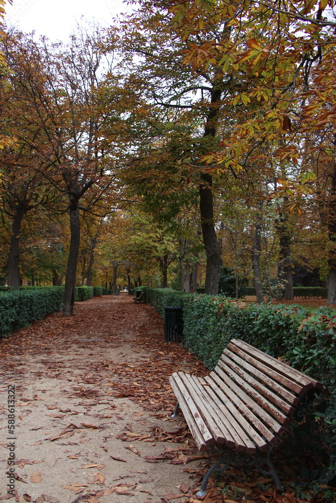 Hermosa tarde otoñal en el parque El Retiro en Madrid España