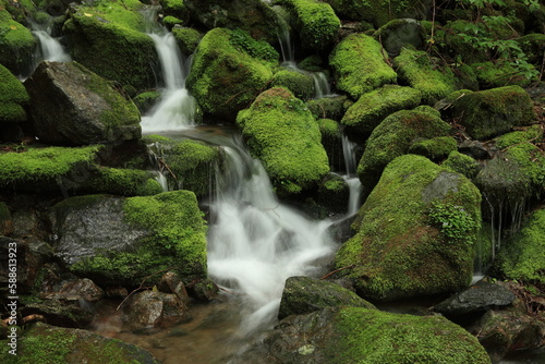 waterfall in the forest