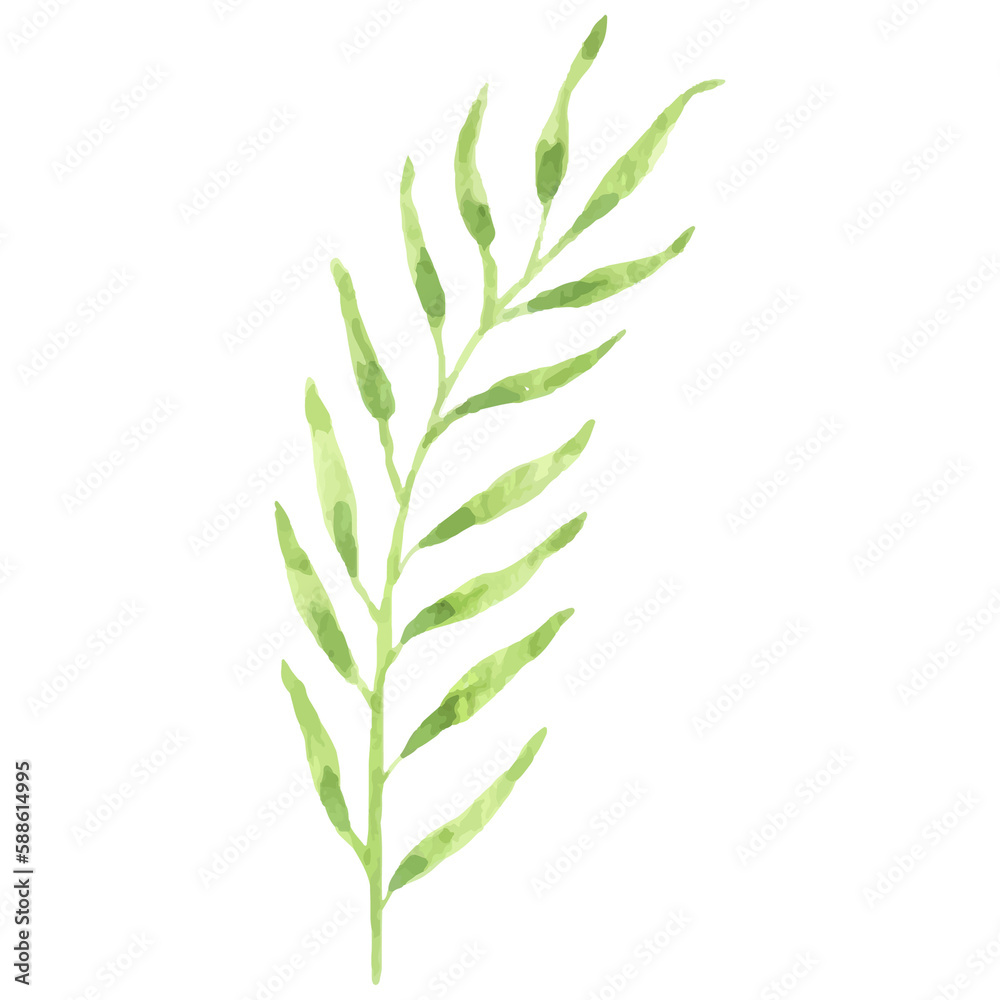 Naklejka premium Watercolor Leaf