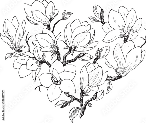 Vector illustration depicting magnolia flowers. Magnolia on a white background. outline flower