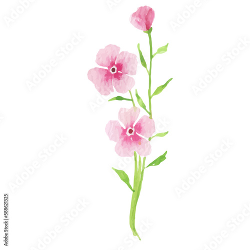 Fototapeta Naklejka Na Ścianę i Meble -  Watercolor Flower