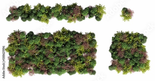 trees in the forest, top view, area view, isolated on white background, 3D illustration, cg render
