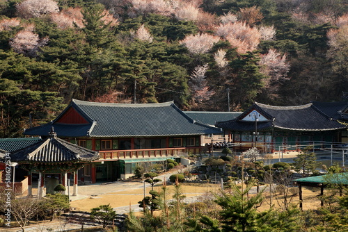 spring of a temple