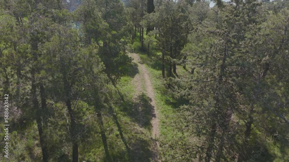 Aerial shot of a hiking trail through a dense forest in Georgia Aerial shot of a hiking trail through a dense forest in Georgia