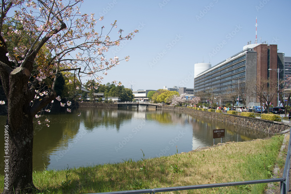 Obraz premium 東京・千代田区・皇居の池