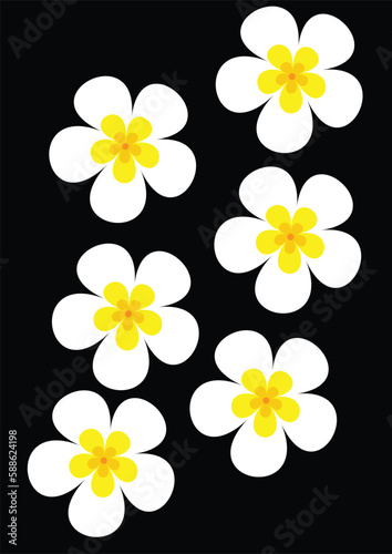 white flowers on black background