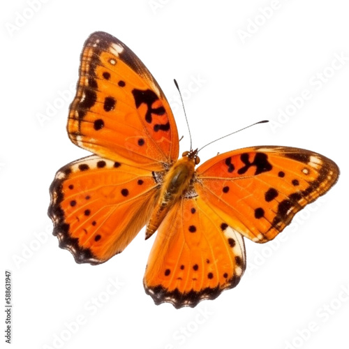 butterfly isolated on white, transparent background, PNG , digital ai art     © HappyTime 17