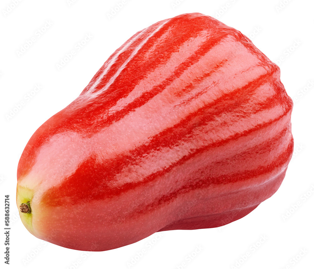 Rose apple or chomphu isolated on transparent background Rose apple or chomphu isolated on transparent background