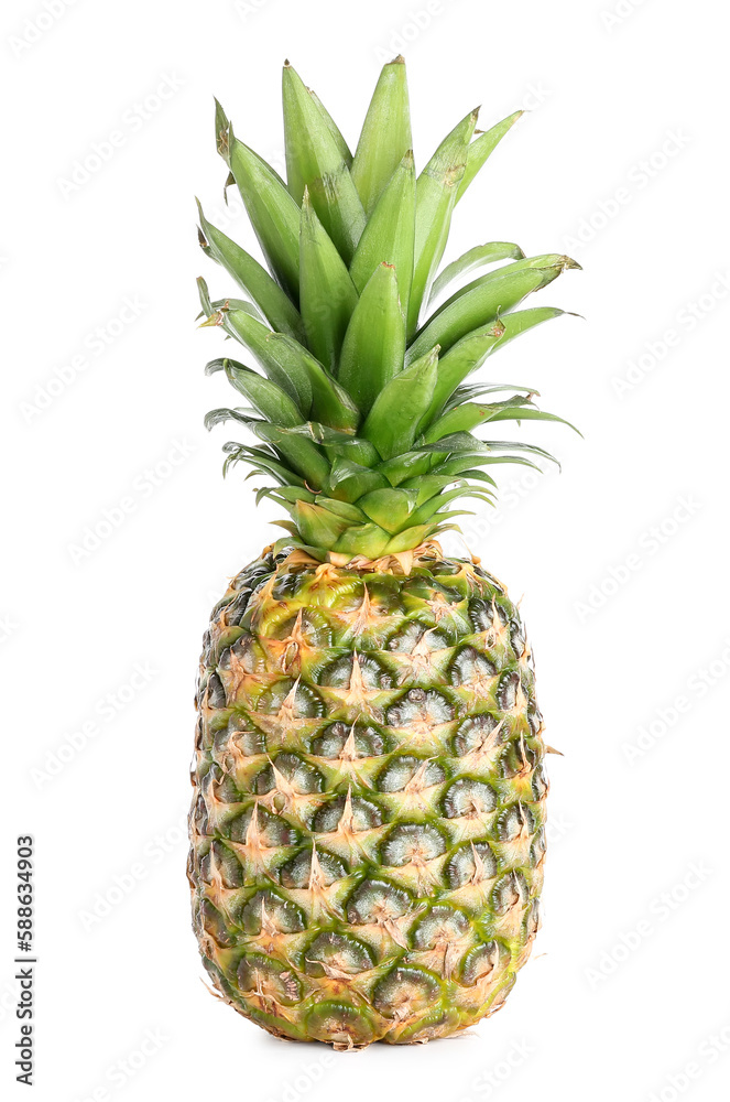 Fototapeta premium Fresh ripe pineapple on white background