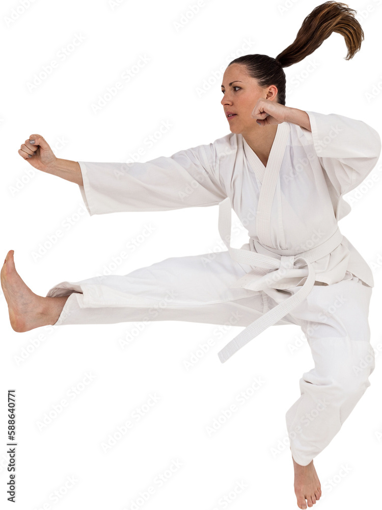 Fighter performing karate stance Fighter performing karate stance