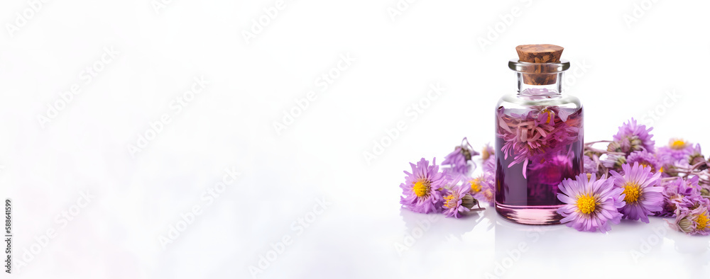 Sophisticated Essential Aster Oil in Glass Bottle with Fresh Aster Flowers isolated on white, copy space, banner, Generative AI Sophisticated Essential Aster Oil in Glass Bottle with Fresh Aster Flowers isolated on white, copy space, banner, Generative AI