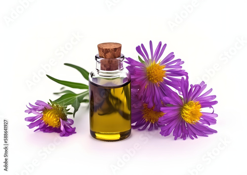 Sophisticated Essential Aster Oil in Glass Bottle with Fresh Aster Flowers isolated on white, Generative AI
