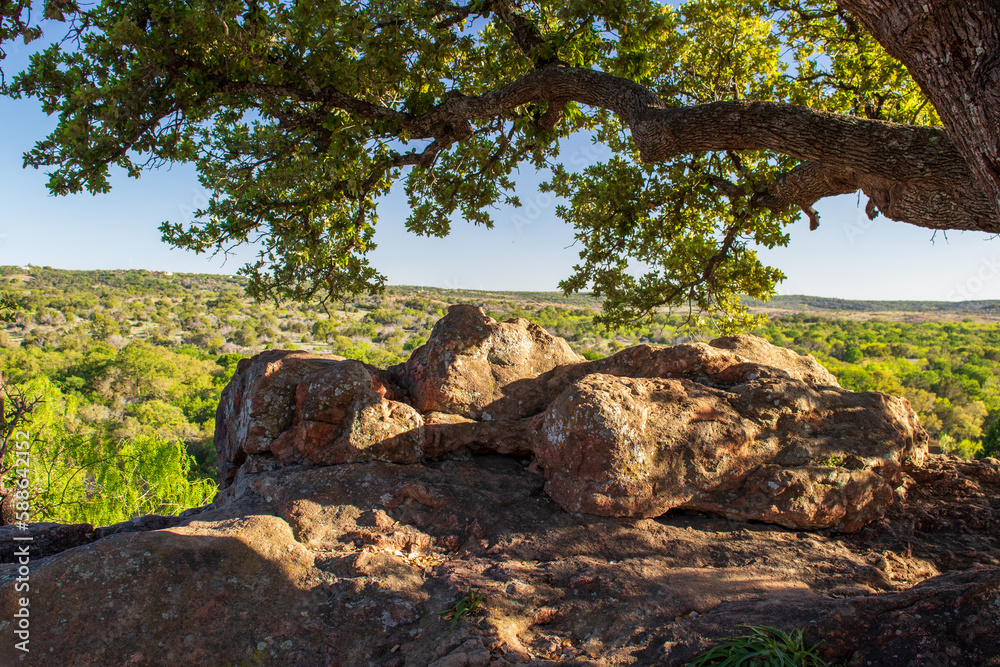 A large oak tree limb hangs over Gneiss rock formations casting shade on an overlook with a valley view of the Texas Hill Country at Inks Lake State Park on a Beautiful Spring Day. A large oak tree limb hangs over Gneiss rock formations casting shade on an overlook with a valley view of the Texas Hill Country at Inks Lake State Park on a Beautiful Spring Day.