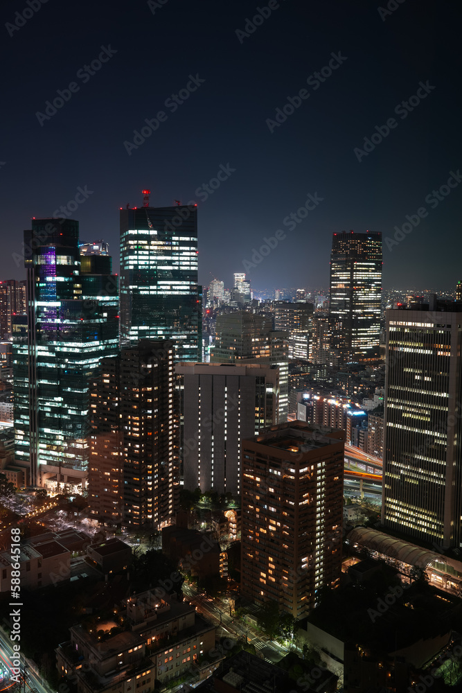Tokyo panorama by night. Photo from above with the night landscape of Tokyo Tower and city, with skyscraper office buildings. Travel to Japan.