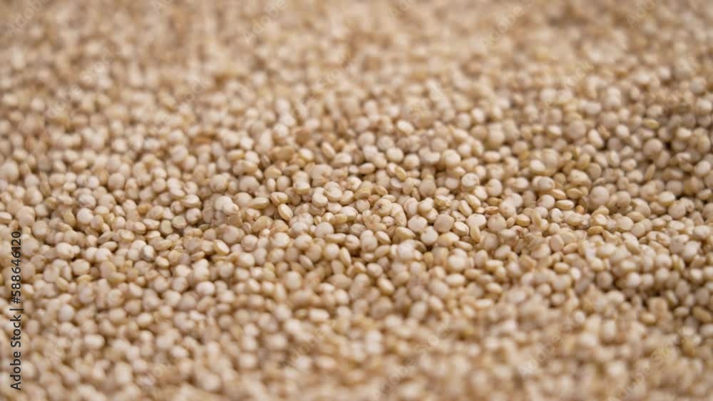 White quinoa seeds falling in slow motion. Superfood gluten free raw grains. Rotation White quinoa seeds falling in slow motion. Superfood gluten free raw grains. Rotation