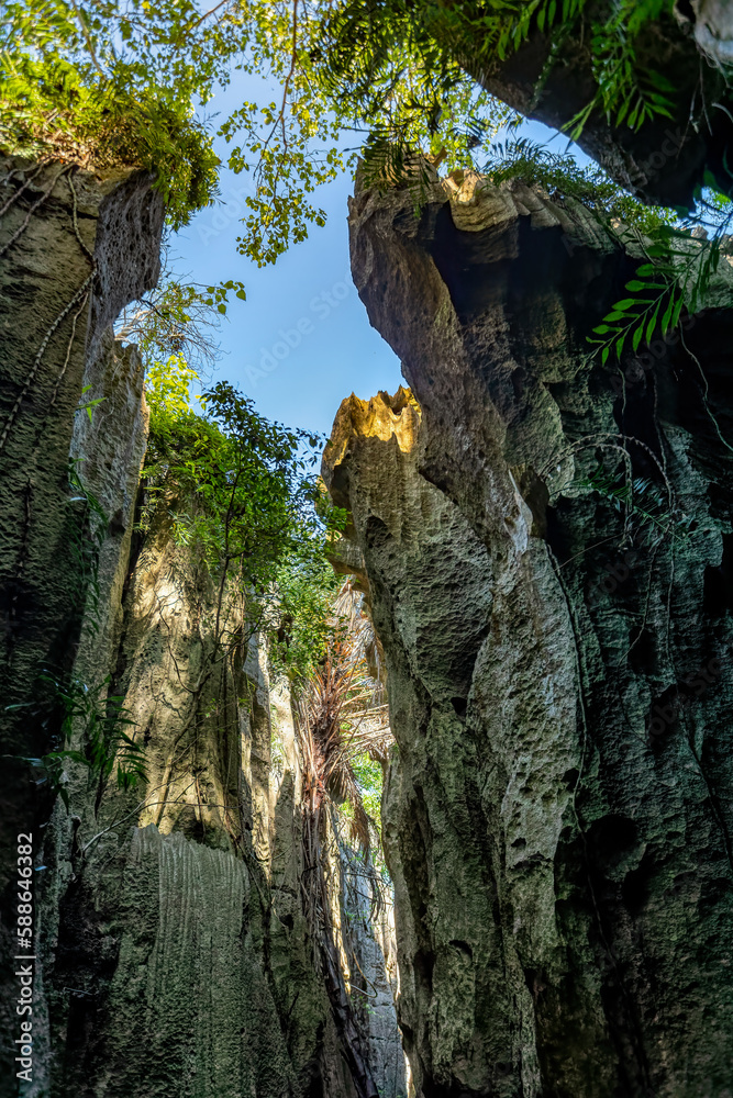 Narrow path between rocks in Petit Tsingy de Bemaraha, Strict Nature Reserve located near the western coast of Madagascar. UNESCO World Heritage.. Madagascar amazing wilderness landscape Narrow path between rocks in Petit Tsingy de Bemaraha, Strict Nature Reserve located near the western coast of Madagascar. UNESCO World Heritage.. Madagascar amazing wilderness landscape